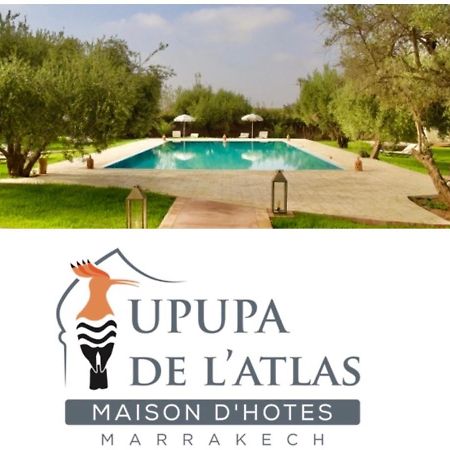 Upupa De L'Atlas Ouled el guerne Exteriér fotografie