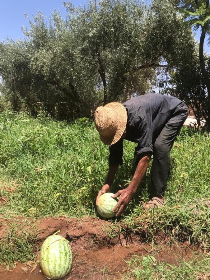 Upupa De L'Atlas Ouled el guerne Exteriér fotografie
