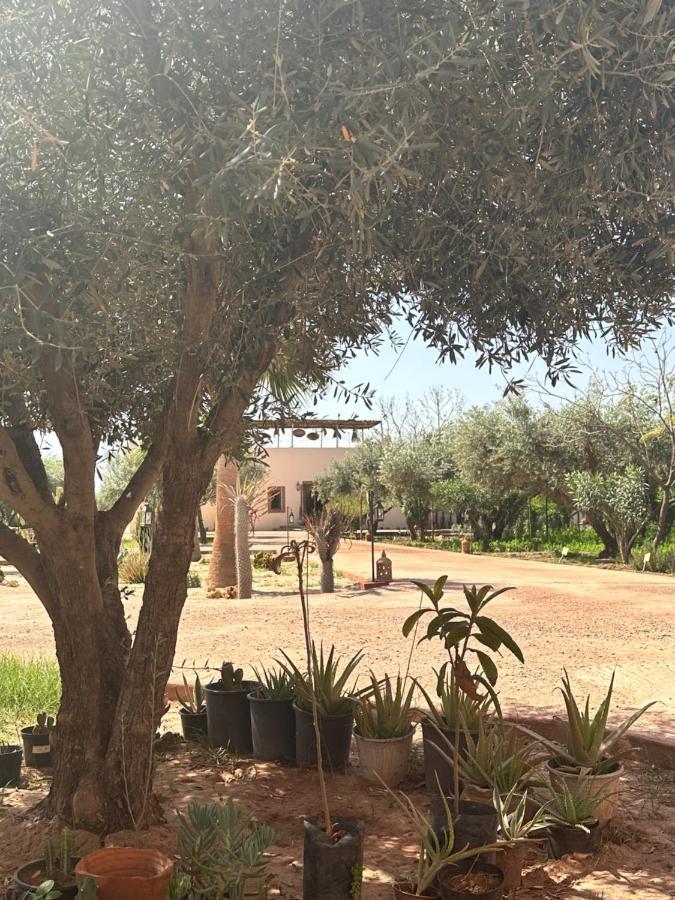 Upupa De L'Atlas Ouled el guerne Exteriér fotografie